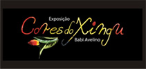 xingu1